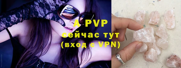 ГАЛЛЮЦИНОГЕННЫЕ ГРИБЫ Гусиноозёрск