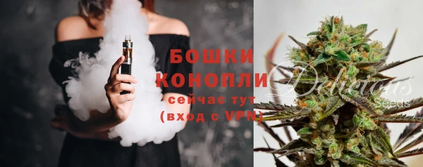 индика Гусь-Хрустальный
