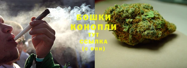 твердый Гусев