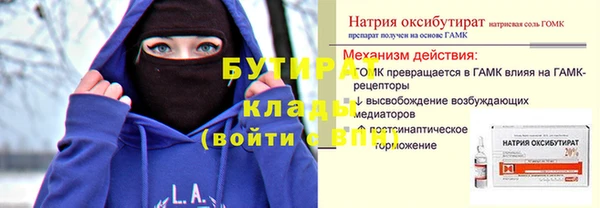 индика Гусь-Хрустальный