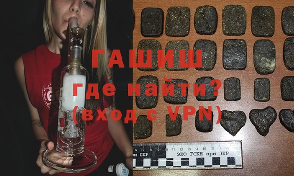 индика Гусь-Хрустальный