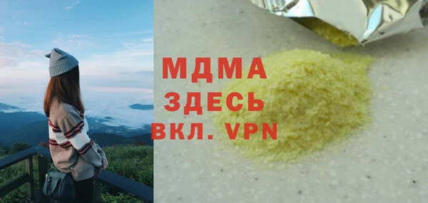 индика Гусь-Хрустальный