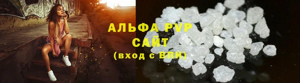 твердый Гусев