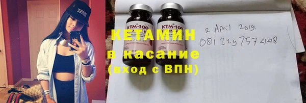 твердый Гусев