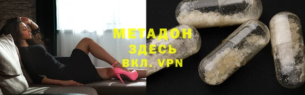 индика Гусь-Хрустальный