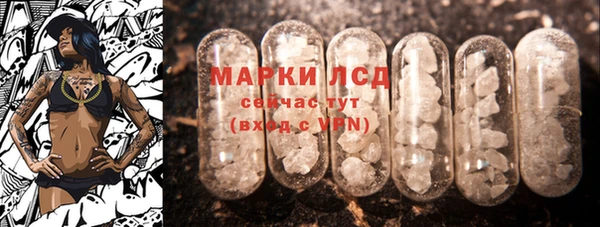 твердый Гусев