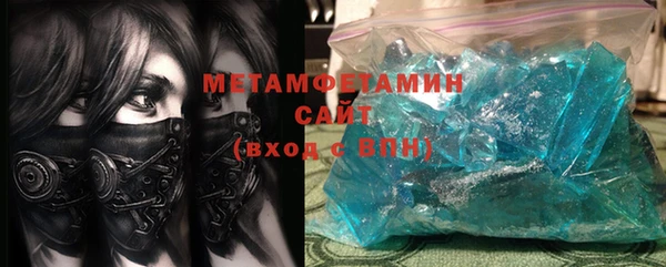 индика Гусь-Хрустальный