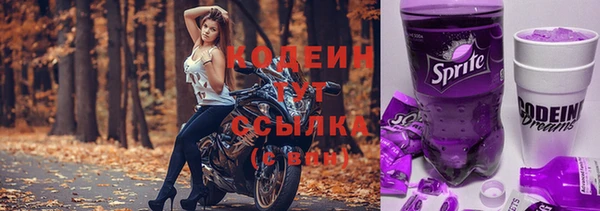 индика Гусь-Хрустальный