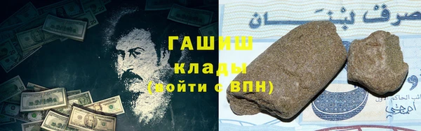индика Гусь-Хрустальный