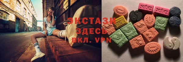 твердый Гусев