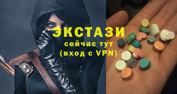 индика Гусь-Хрустальный