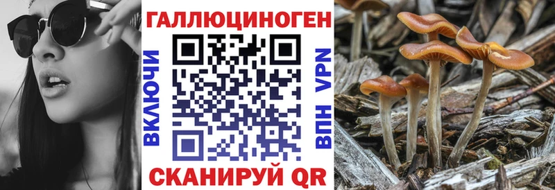 Галлюциногенные грибы MAGIC MUSHROOMS  Купить  Знаменск 